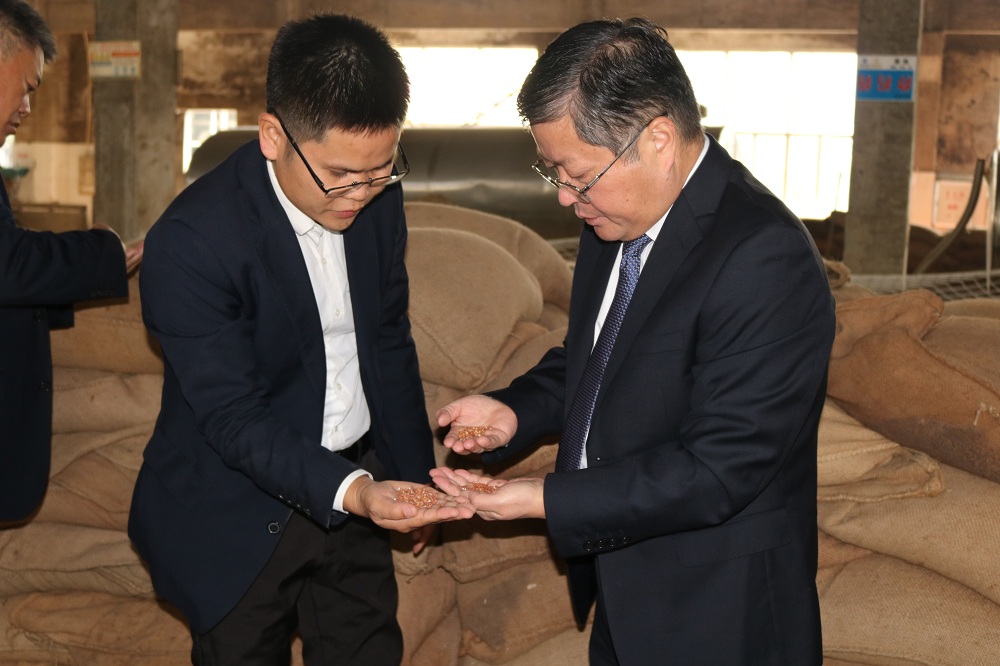 1667787536384023.jpg 1667787536384023.jpg